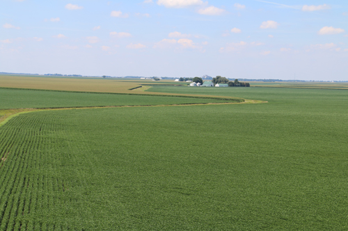 The Midwest offers the most productive soils in the U.S. for corn and soybean crops.: Photograph by Praveen Kumar courtesy of NSF.